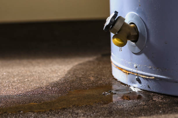 Water damage restoration mold remediation in WI