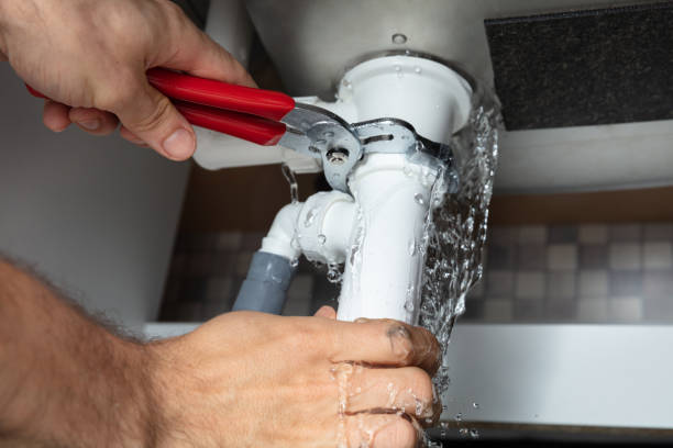 Best Local water damage restoration  in Theresa, WI