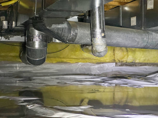Best Fire Damage Restoration  in Theresa, WI