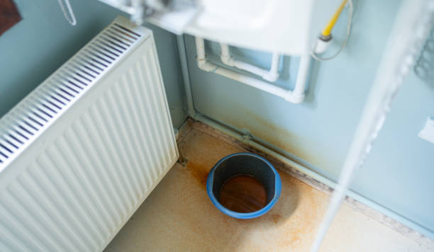Best Mold removal after water damage  in Theresa, WI